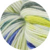 Hand Dyed Meilenweit 100 Merino Rainbow Yarn - Image 16