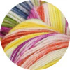 Hand Dyed Meilenweit 100 Merino Rainbow Yarn - Image 4