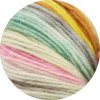 Hand Dyed Meilenweit 100 Merino Rainbow Yarn - Image 6